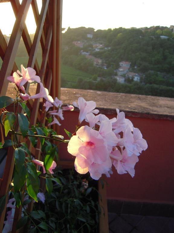 Casa Vacanze Palazzo Primoli Ariccia Exterior foto